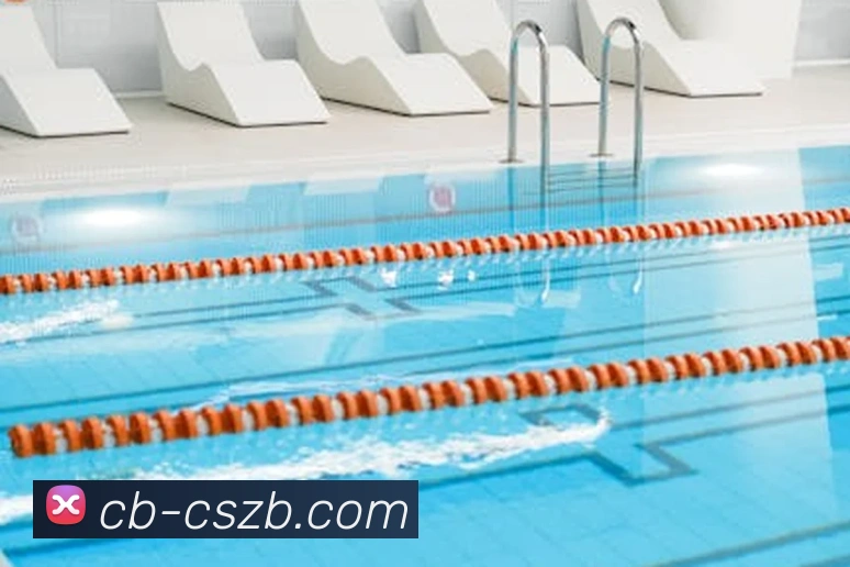 彩神争霸平台生态图